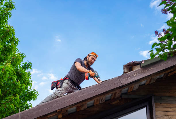 Best Rubber Roofing (EPDM, TPO)  in Blountsville, AL